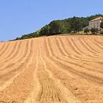 בית הארחה La Maison De Maitre