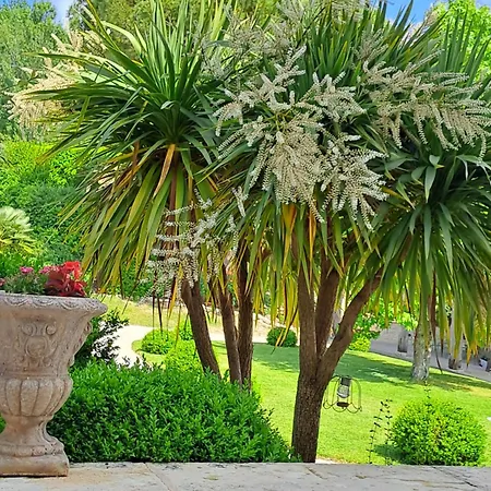 La Maison De Maitre 4* Sainte-Livrade-sur-Lot