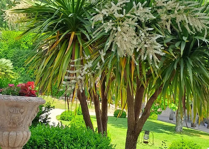 La Maison De Maitre 4* Sainte-Livrade-sur-Lot