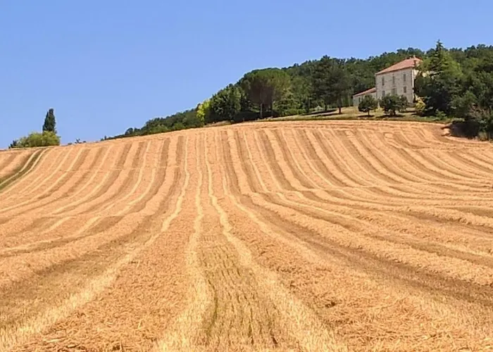 בית הארחה La Maison De Maitre